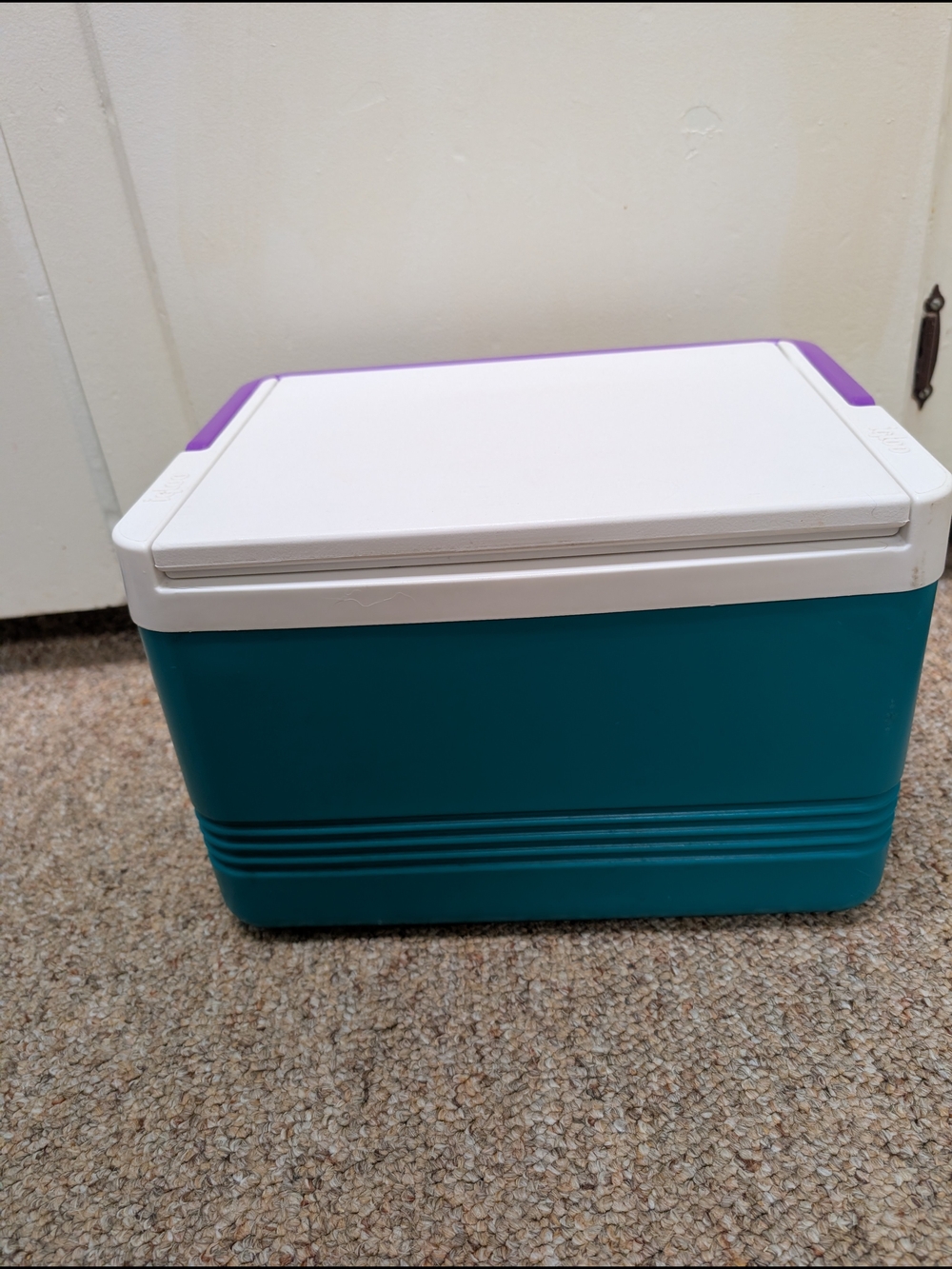 Vintage 90s Igloo Legend 12 Can Cooler With Teal Body & Purple Handle